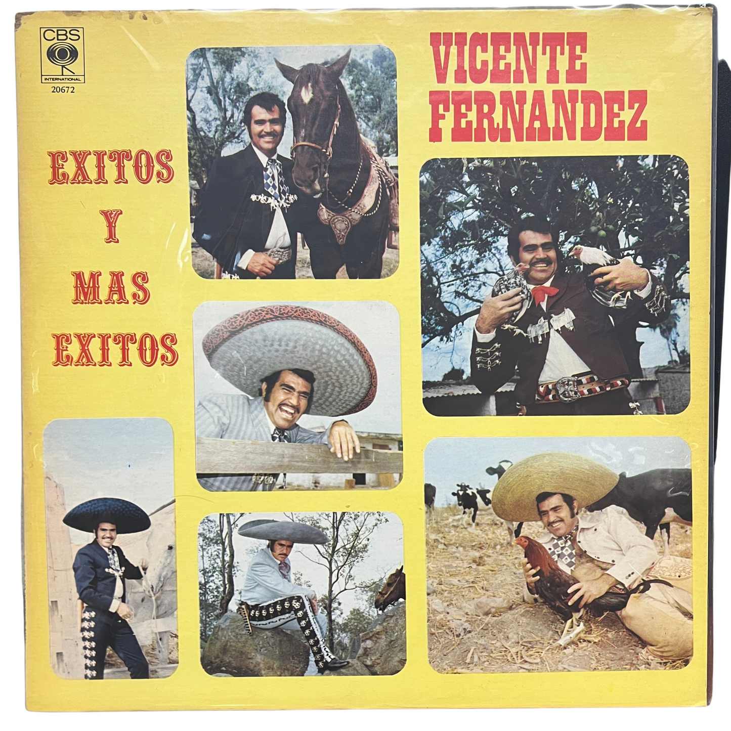 Vicente Fernandez - Éxitos Y Más Exitios (Vinilo Abierto) *1983