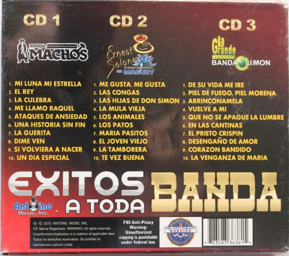 Exitos A Toda Banda - Various Artists (CD)