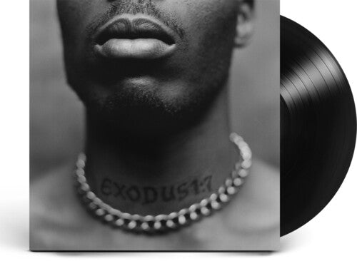 DMX - Exodus (Vinyl)