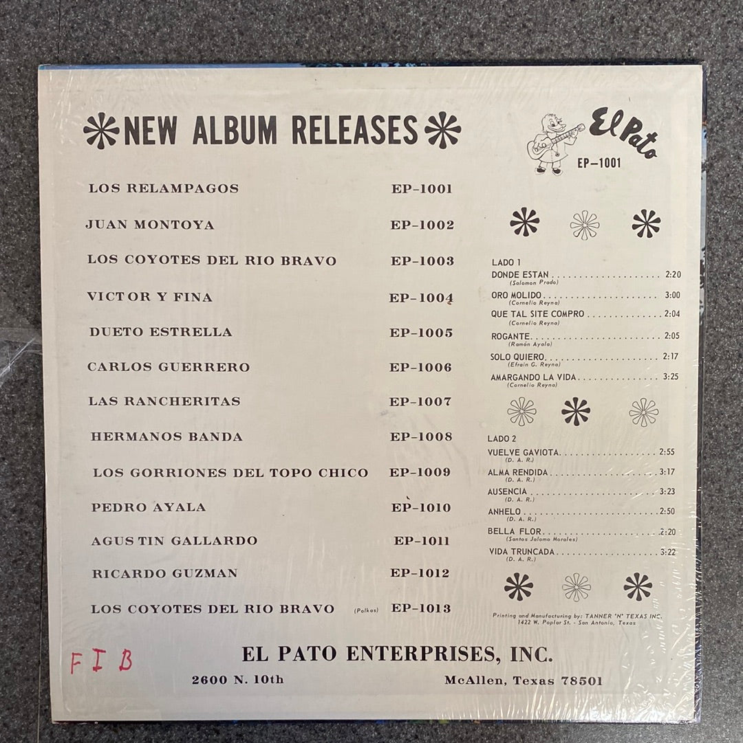 Los Relampagos Del Norte – Lo Nuevo De Los Relampagos (Open Vinyl)