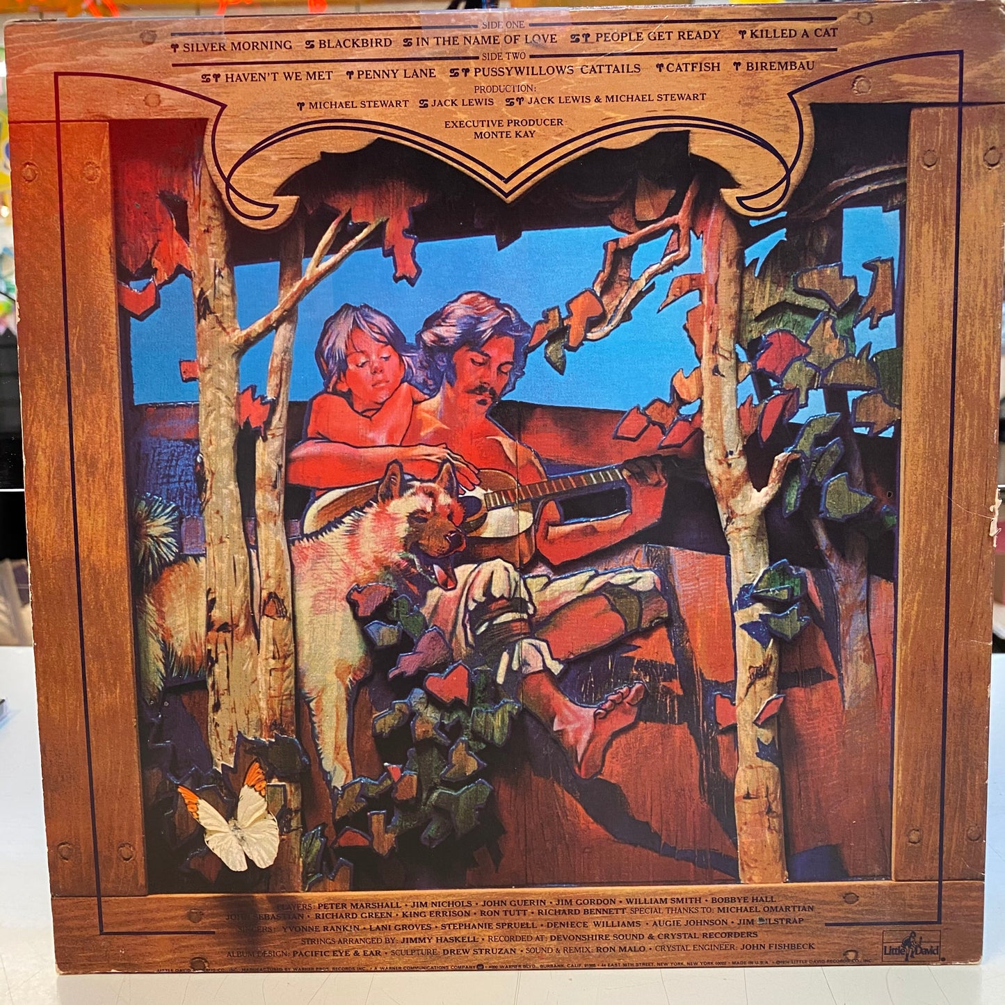 Kenny Rankin - Silver Morning (Vinyl)