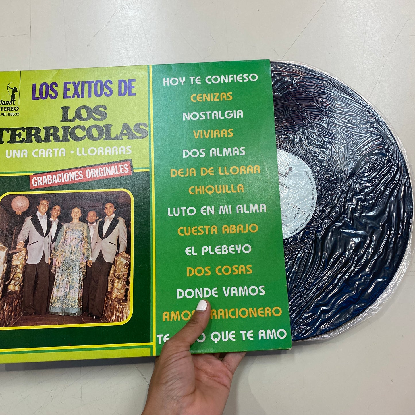 Los Terricolas- Los Exitos (vinilo)