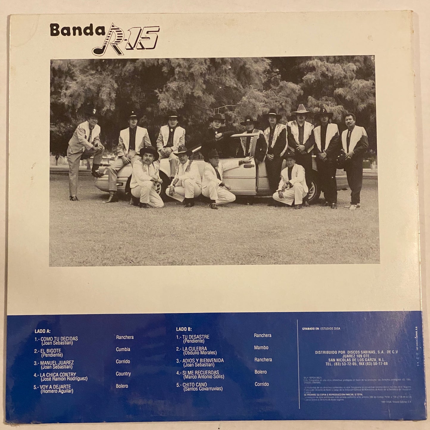 Banda R-15 (Vinilo)
