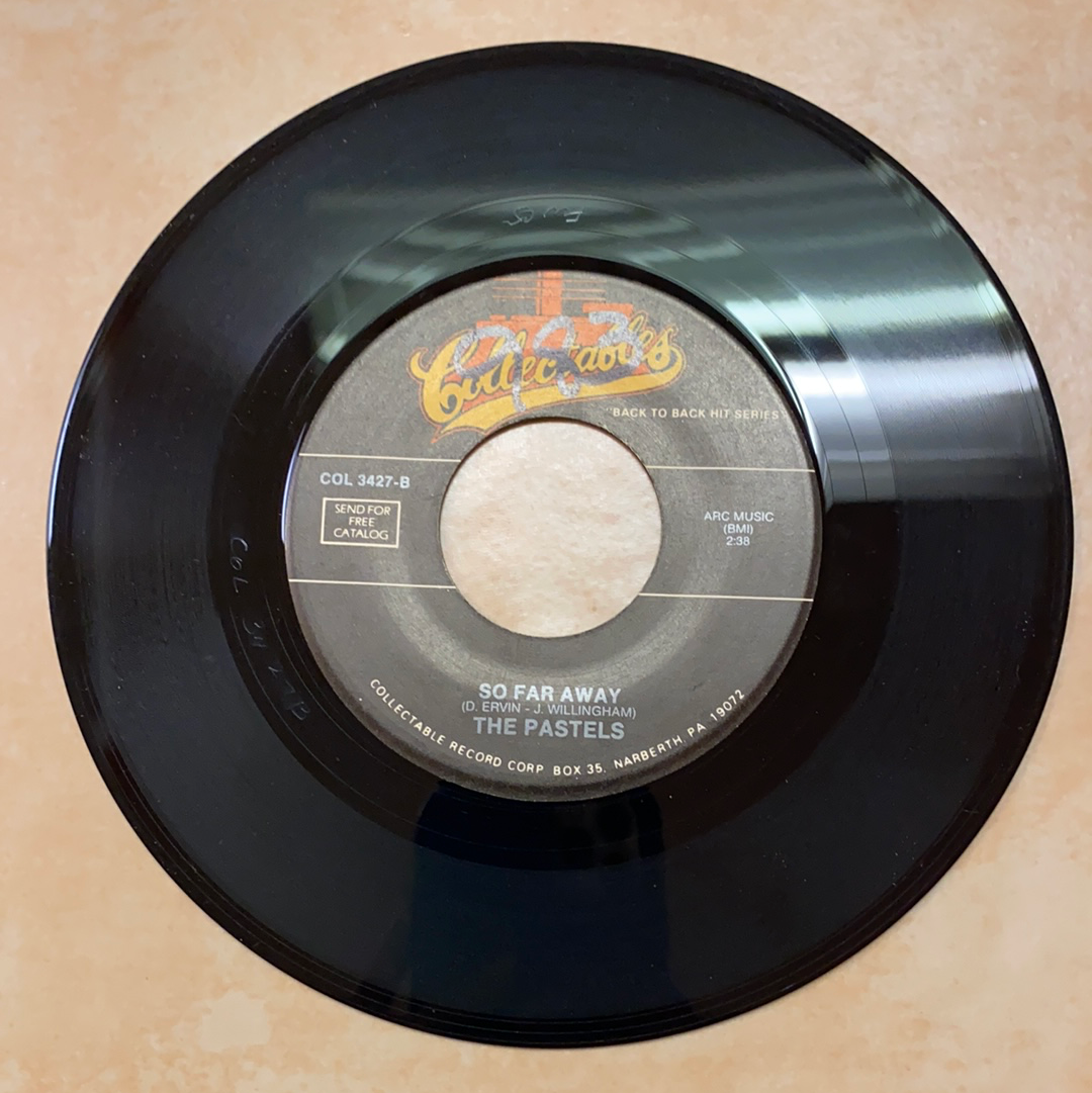 ザ・パステルズ - ずっと離れていた / ずっと遠く離れていた (45)