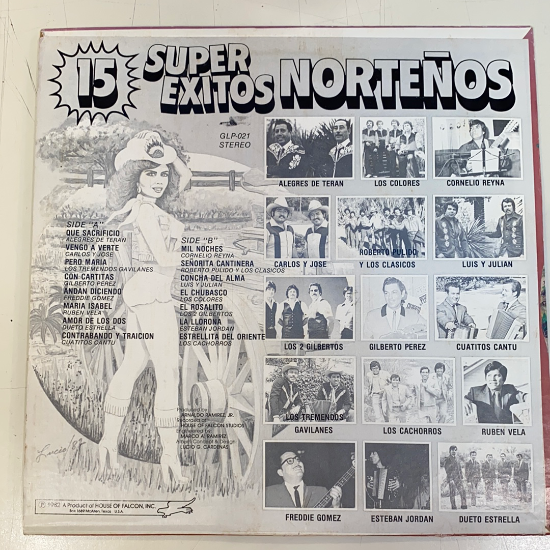 15 Super Exitos Norteño - Various Artists (Open Vinyl)