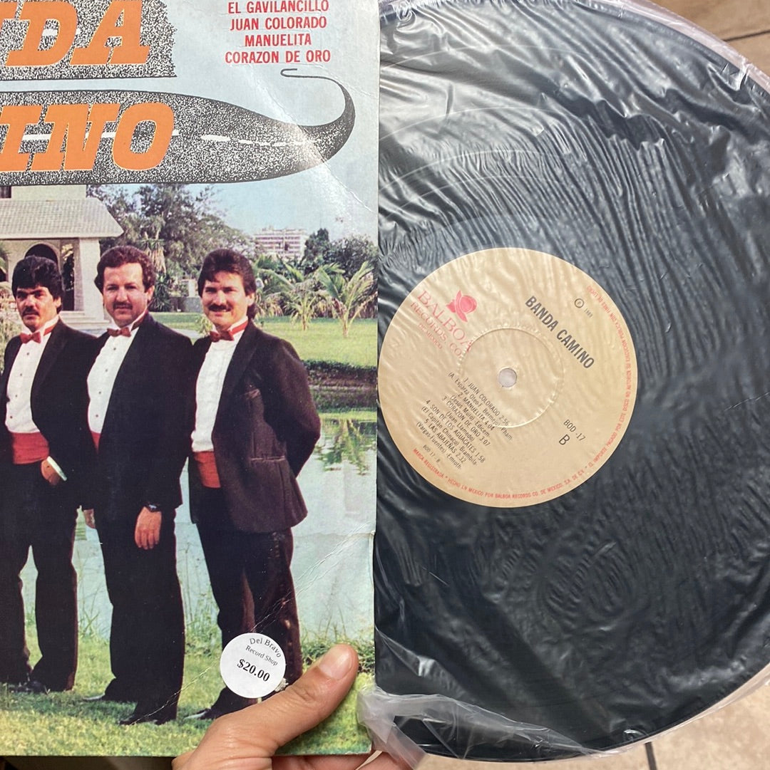 Banda Camino (Open Vinyl)