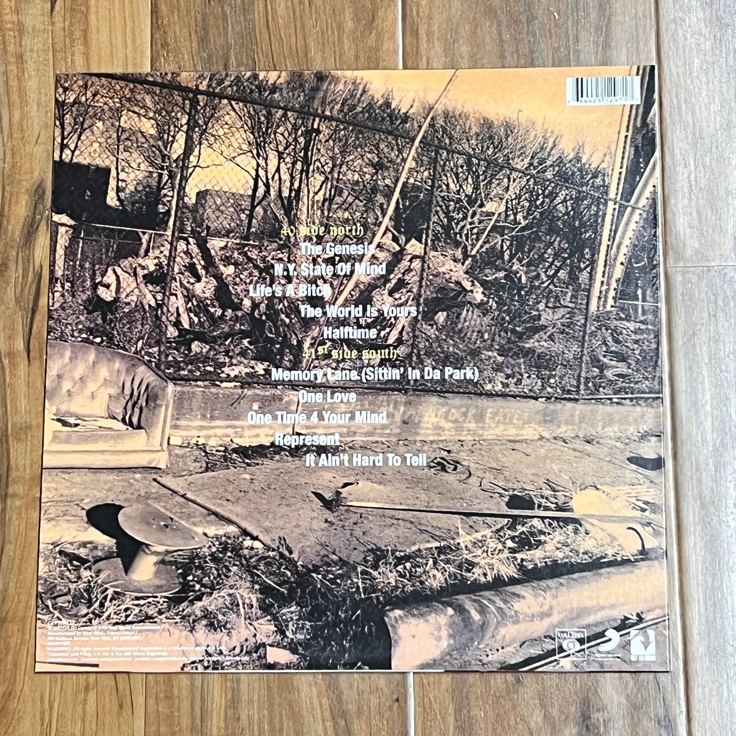 *OPEN* Nas - Illmatic (Vinyl) (Copy)