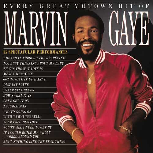 Marvin Gaye - Every Great Motown Hit Of Marvin Gaye: 15 Spectacular Performances (Vinyl)