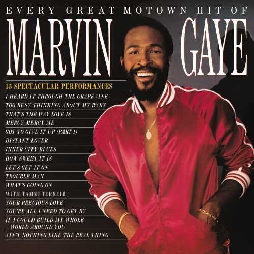 Marvin Gaye - Todos los grandes éxitos de Motown de Marvin Gaye: 15 actuaciones espectaculares (vinilo)