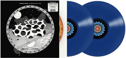 Modest Mouse - An Eraser and a Maze [Explicit Content] (Vinyl)