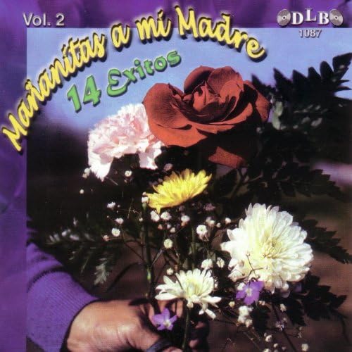 Mañanitas A Mi Madre, 14 Exitos Vol. 2 - Various Artists (CD)
