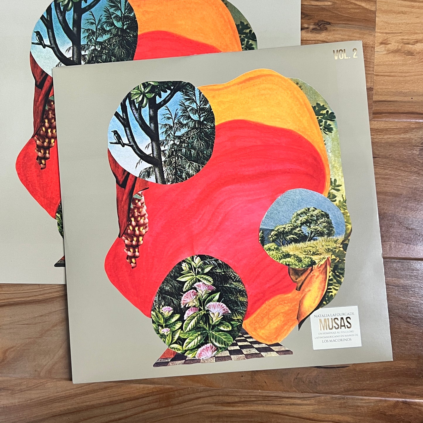 *Open: Natalia Lafourcade – Musas (Un Homenaje al Folclore Latinoamericano en Manos de Los Macorinos), Vol. 2 (Vinyl)