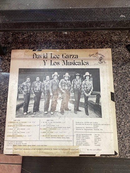 David Lee Garza - cuatro Camino