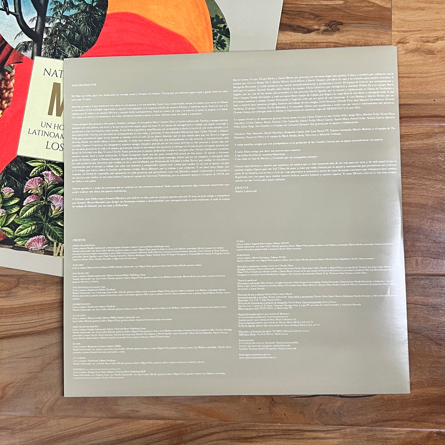 *Open: Natalia Lafourcade – Musas (Un Homenaje al Folclore Latinoamericano en Manos de Los Macorinos), Vol. 2 (Vinyl)