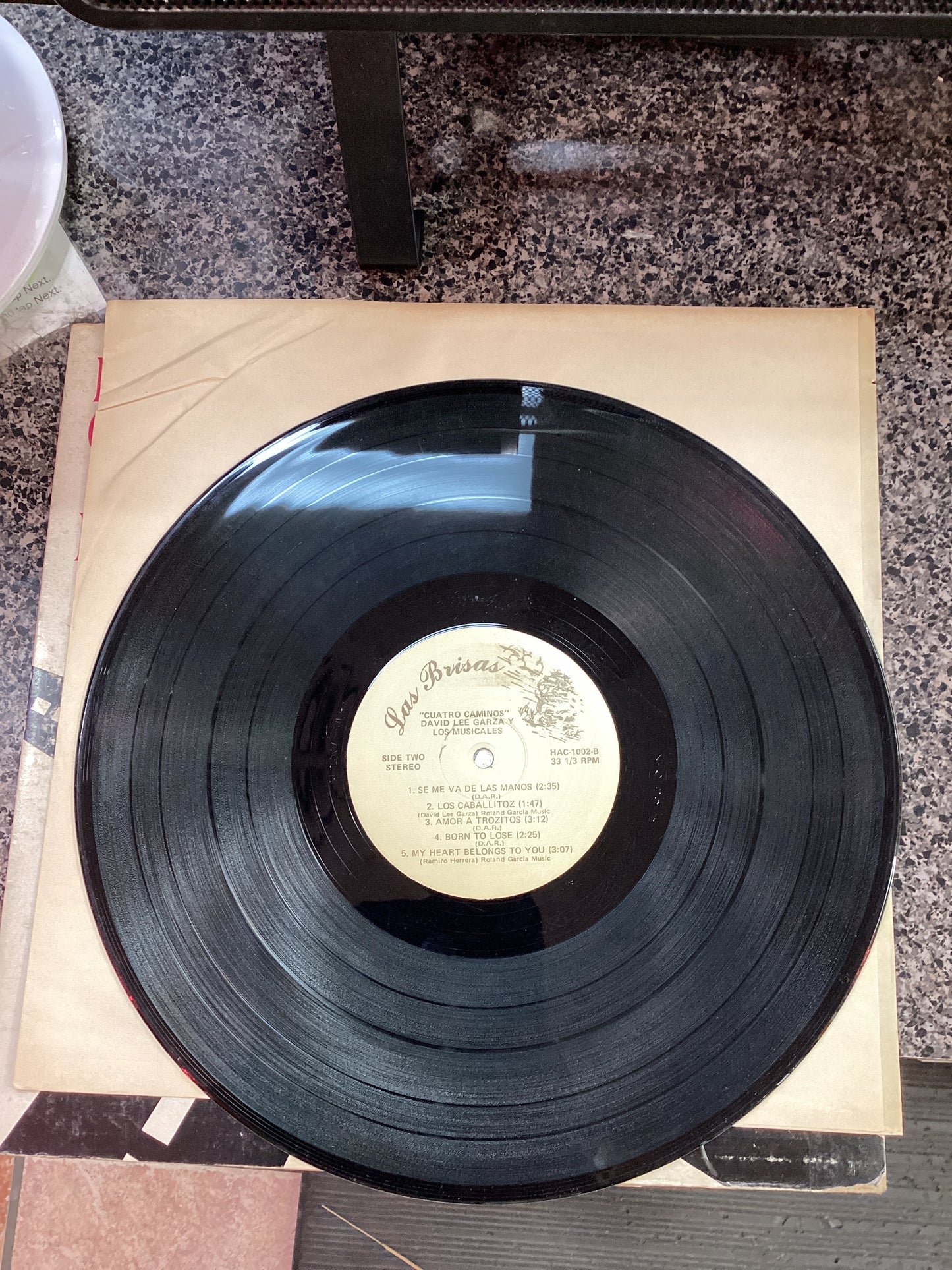 David Lee Garza - cuatro Camino