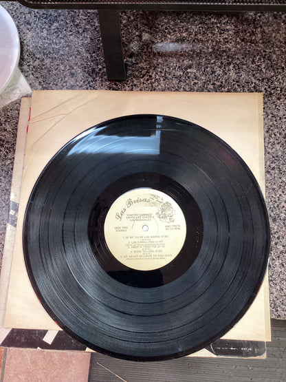 David Lee Garza - cuatro Camino