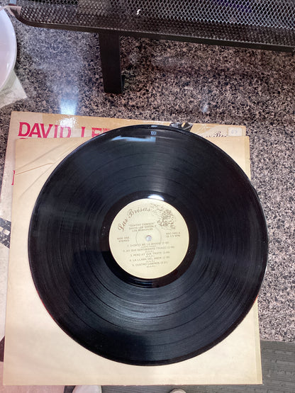 David Lee Garza - cuatro Camino