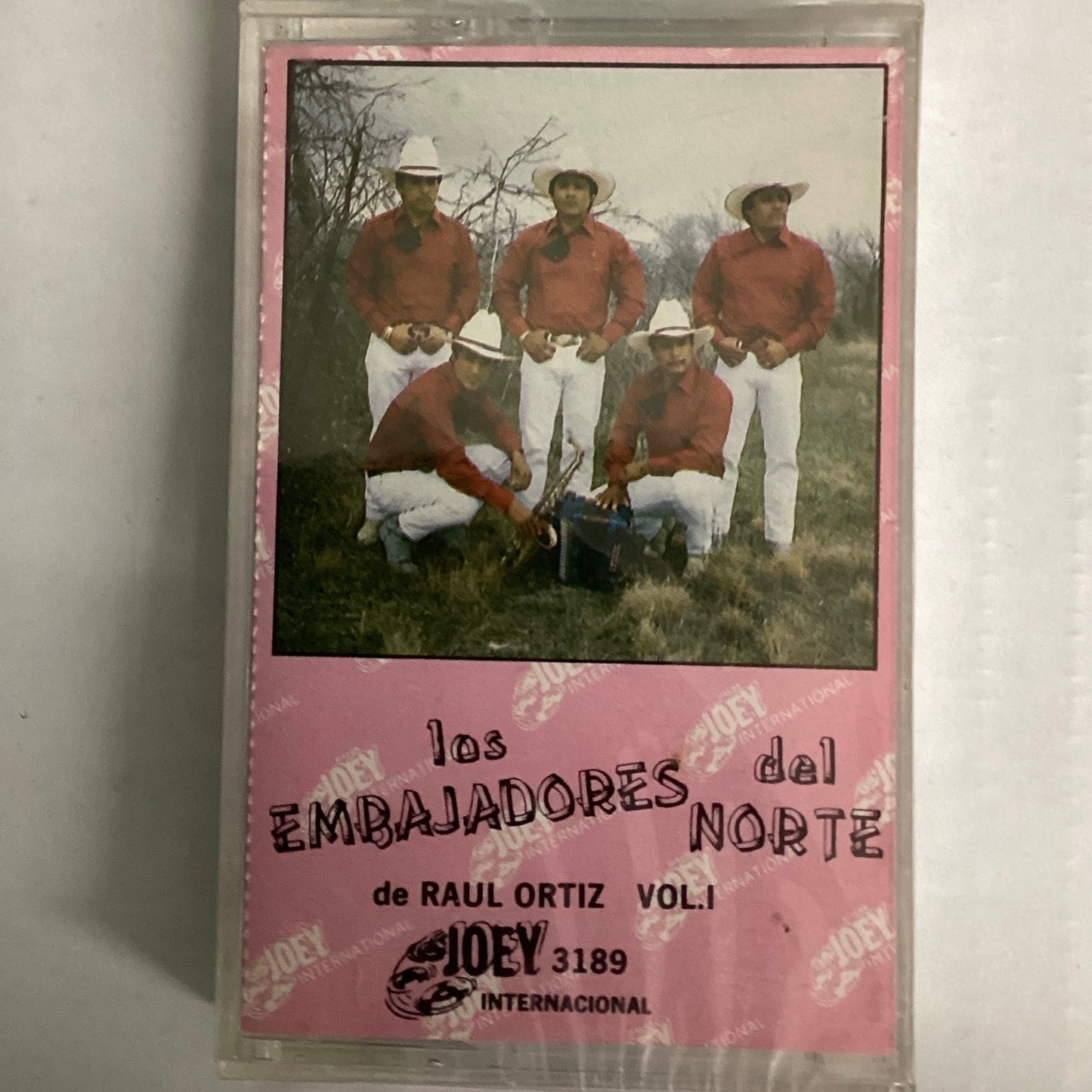 Los Embajadores del Norte de Raul Ortiz, Vol. 1 (Cassette)