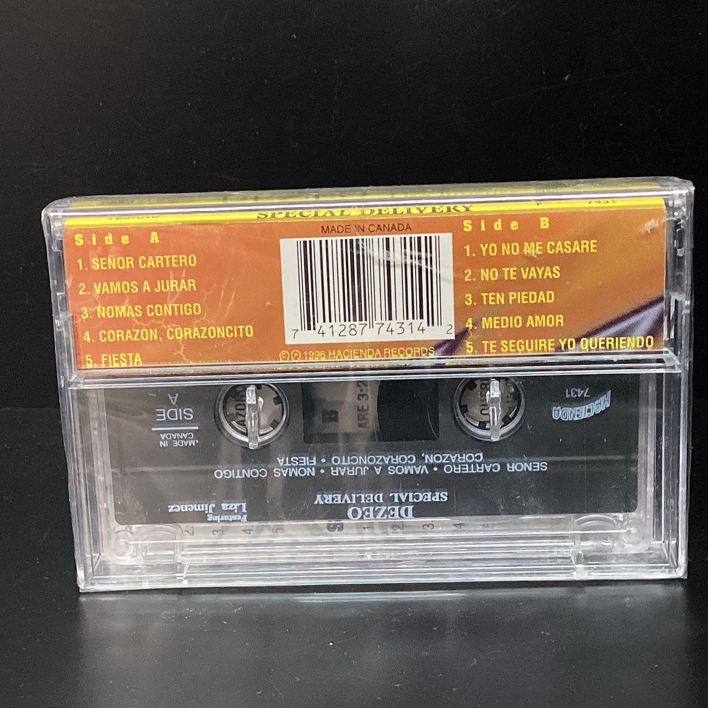 Dezeo feat. Liza Jimenez - Special Delivery (Cassette) (Sealed)