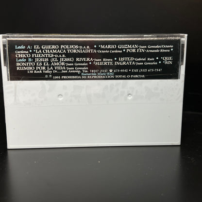 Los Parranderos Del Norte de Juan Gonzalez - Suerte Ingrata (Cassette) (Sealed)