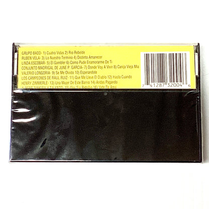 Tex-Mex Classic Conjunto Gold - Various Artists (Cassette)