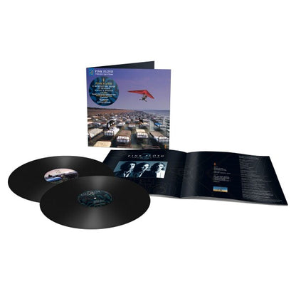 Pink Floyd - A Momentary Lapse Of Reason (Vinyl)