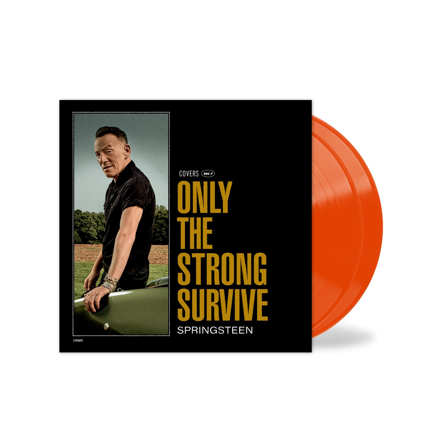 Bruce Springsteen - Only the Strong Survive ( Colored Vinyl) RSD