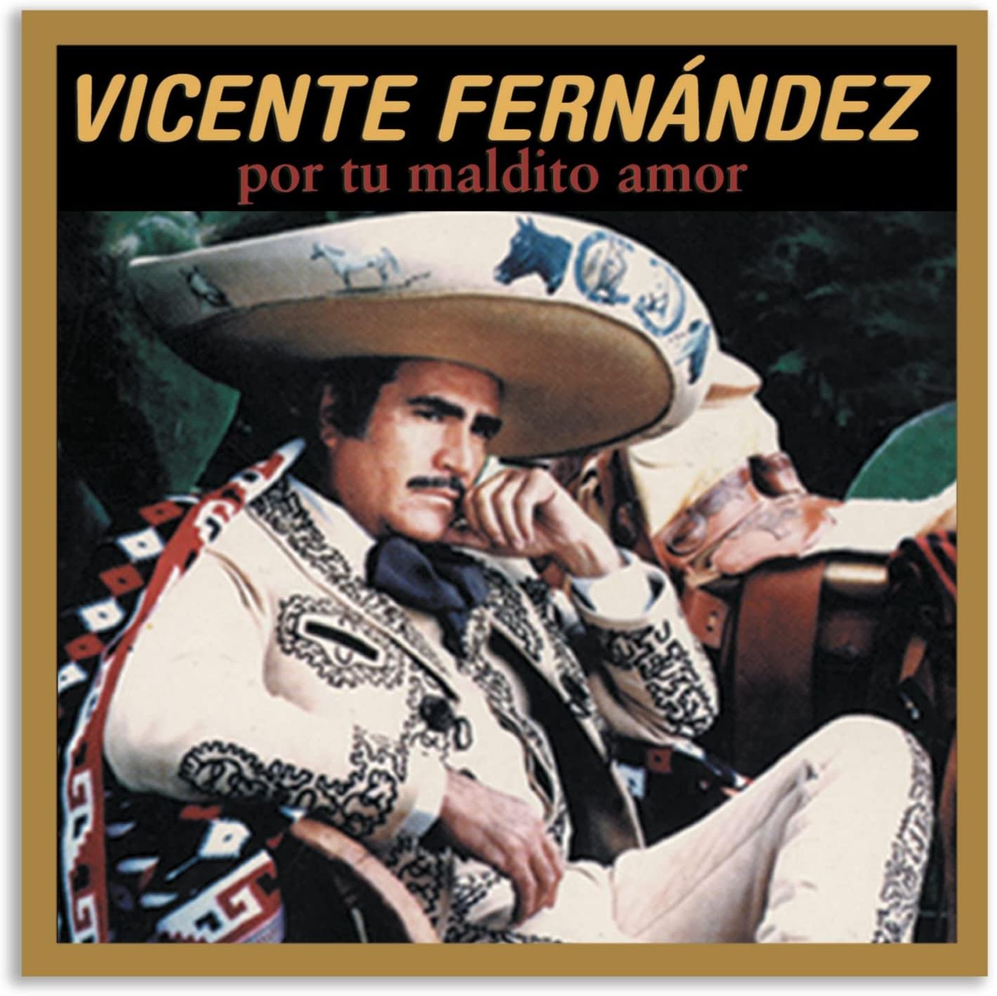 Vicente Fernandez - Por Tu Maldito Amor (CD)