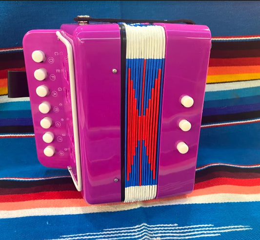 Kids Accordion Hot Pink