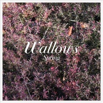 Wallows - Spring (Vinyl)