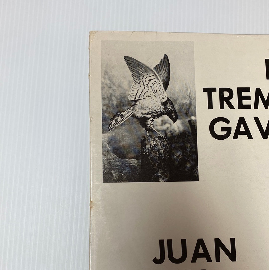 Los Tremendos Gavilanes - Juan Y Salomon  (Open Vinyl)