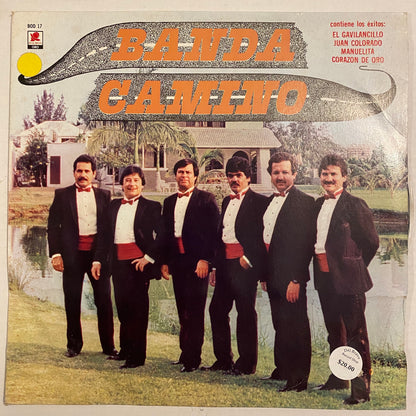 Banda Camino (Open Vinyl)