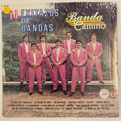 Banda Camino - 16 Exitazos De Bandas (Open Vinyl)