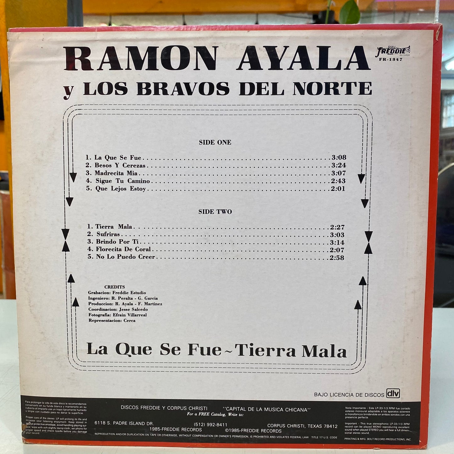 Ramon Ayala Y Los Bravos Del Norte - La Que Se Fue | Tierra Mala (Vinilo)