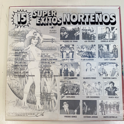 15 Super Exitos Norteño - Various Artists (Open  Vinyl)
