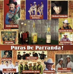 Puras De Parranda - Various Artists (CD)